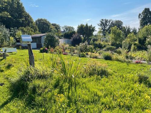 Foto - Gepflegter Kleingarten in Stralsund (KGV Stadion e.V.)