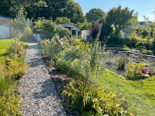 Foto - Grundst&uuml;ck zur Miete in Stralsund