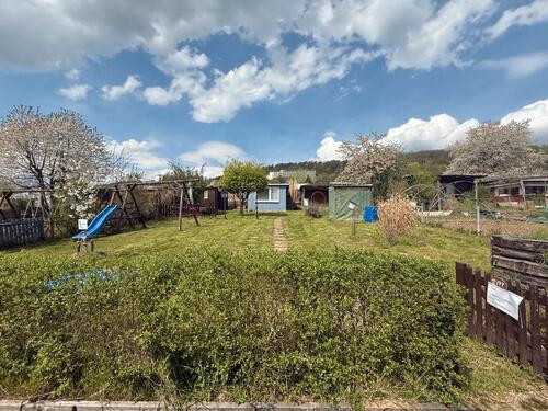 Foto - Garten Kleingarten in Höxter abzugeben