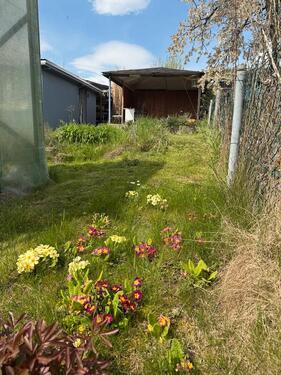 Foto - Grundst&uuml;ck in Höxter