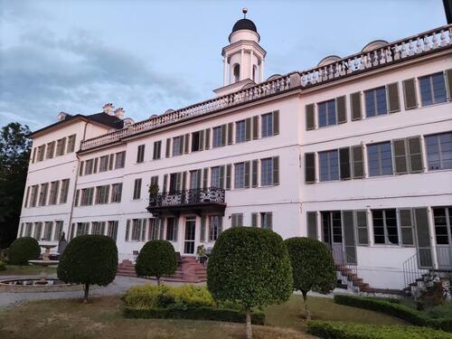 Foto - 2 Zimmer Dachgeschoßwohnung zur Miete in Offenbach am Main