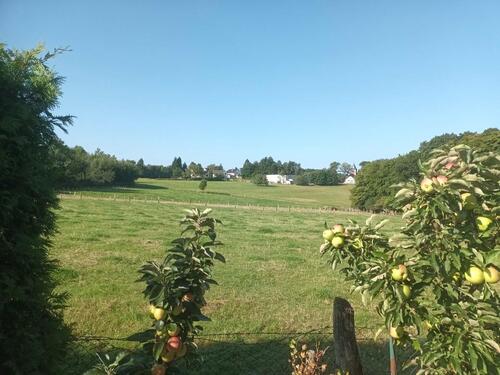 Foto - Einfamilienhaus in Weyerbusch