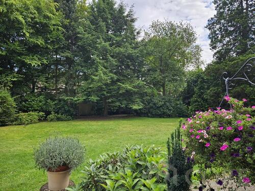 Foto - 6 Zimmer Etagenwohnung zur Miete in Hamburg