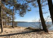 Foto - Ferienhaus Ferienwohnung Monima Insel Rügen Ostsee Strand