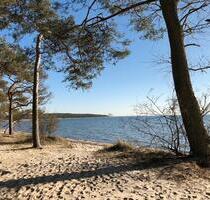 Ferienhaus Ferienwohnung Monima Insel Rügen Ostsee Strand - Bergen auf Rügen