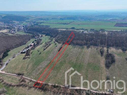 Foto - Kompakte Wald- und Grünlandfläche ca. 0,6 im nördlichen Gemeindegebiet von Sangerhausen