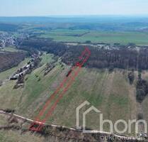 Kompakte Wald- und Grünlandfläche ca. 0,6 im nördlichen Gemeindegebiet von Sangerhausen Kompakte Wald- und Grünlandfläche ca. 0,6 im nördlichen Gemeindegebiet von Sangerhausen