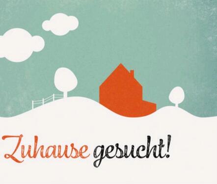 Foto - Mietwohnung Mietshaus Hauskauf Meschede Freienohl Umgebung