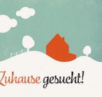 Mietwohnung Mietshaus Hauskauf Meschede Freienohl Umgebung