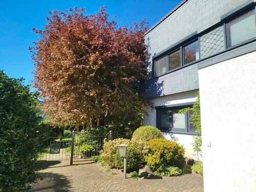 Foto - Modernes, hochwertiges Einfamilienhaus in der BGS Siedlung