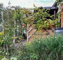 Kleingarten Pachtgarten, 485qm, massive renovierte Laube an Spree - Cottbus Brunschwig