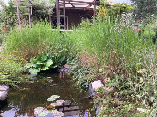 Foto - Grundst&uuml;ck zur Miete in Cottbus