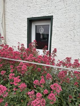 Foto - 6.5 Zimmer Bauernhaus, Landhaus in Brilon