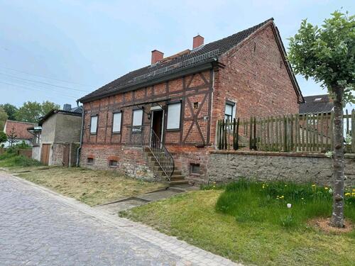 Foto - Einfamilienhaus zum Kaufen in Erxleben