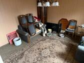 Foto - Einfamilienhaus in Erxleben zum Kaufen