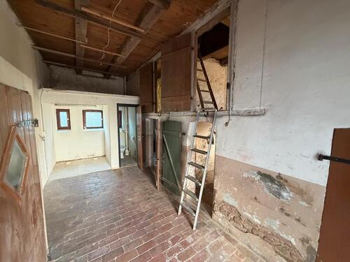 Foto - andere in Bielefeld