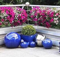 Privatverkauf Wuppertal- Cronenberg