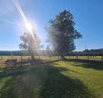 grosser Bauernhof - 300.000,00&nbsp;EUR Kaufpreis, ca.&nbsp; 120,00&nbsp;m&sup2; in Döbern (PLZ: 03159)