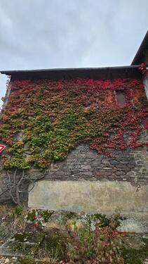 Foto - Einfamilienhaus in Antrifttal zum Kaufen