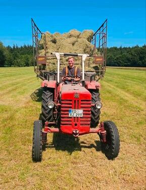 Foto - andere in Hanerau-Hademarschen zur Miete