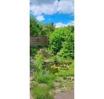 Einfamilienhaus mit viel Potential ohne Makler - Peine