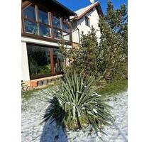 Chemnitz - Zweitwohnen in einem ehemaligen Hotel