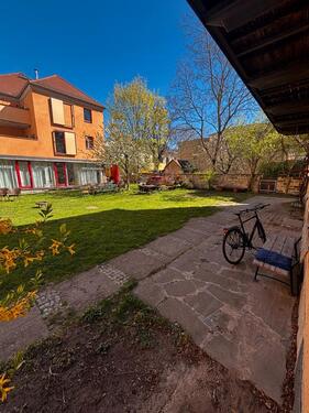 Foto - andere in Dresden