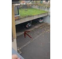 Parkplatz in Carport zu vermieten - Stuttgart Feuerbach