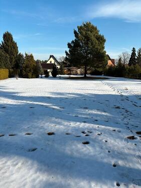 Foto - 9 Zimmer Einfamilienhaus zum Kaufen in Jessen (Elster)