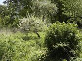 Foto - Einfamilienhaus in Gnoien