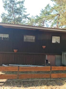 Foto - Bungalow in Neuhausen/Spree zum Kaufen