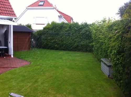 Foto - Doppelhaushälfte Hemmingen - 560.000,00 EUR Kaufpreis,