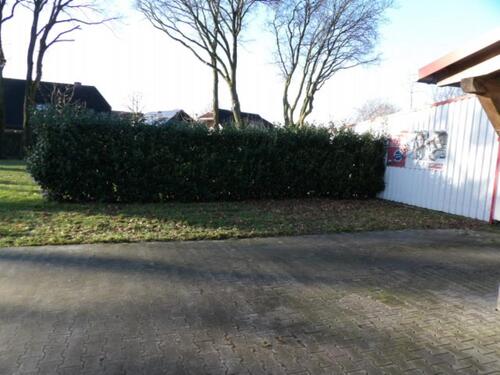 Foto - 2 Zimmer Etagenwohnung zur Miete in Garrel