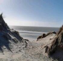 FEWO AMELAND. (neu möbliert) 5 Personen mit Hund. Termine frei - Lingen (Ems)