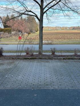 Foto - andere in Berlin zur Miete