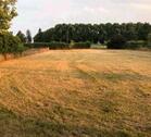 Foto - Bauernhof,Grundstück ,Wiese, Hof