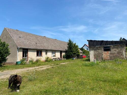 Foto - Großes Haus am Wald vor den Toren Usedoms
