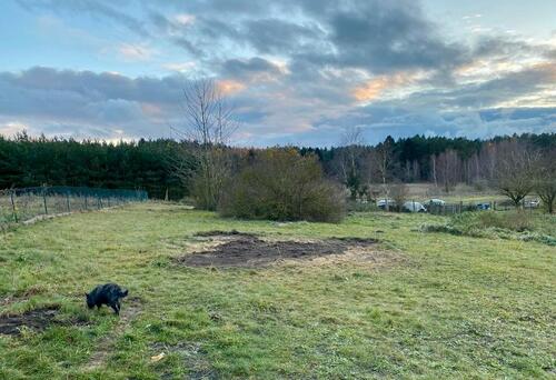 Foto - 7 Zimmer Mehrfamilienhaus, Wohnhaus in Murchin