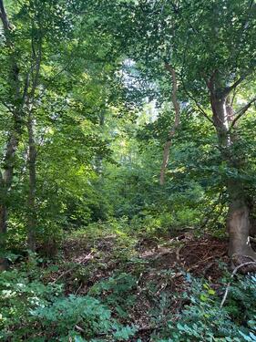 Foto - Grundstück in Einbeck