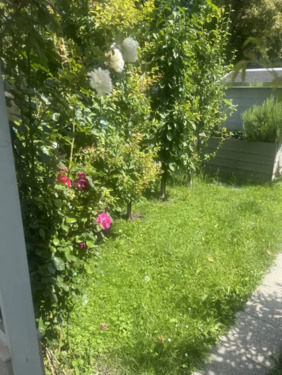 Foto - 2 Zimmer Erdgeschoßwohnung in Waldkraiburg