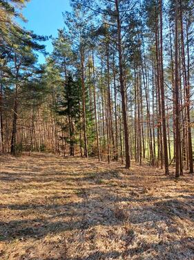 Foto - Grundst&uuml;ck zur Miete in Kastl
