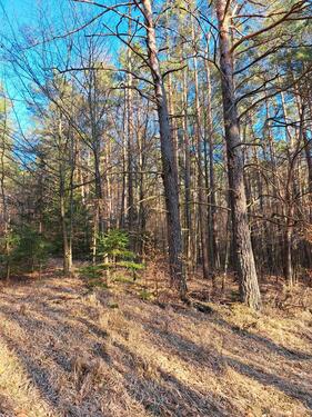 Foto - Grundst&uuml;ck in Kastl