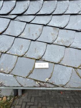 Foto - andere zur Miete in Hadamar