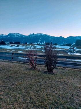 Foto - Einliegerwohnung Nähe Pfronten - 500,00&nbsp;EUR Kaltmiete, ca.&nbsp; 40,00&nbsp;m&sup2;