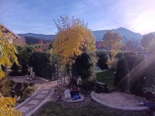 Foto - Hübsche ,helle Einliegerwohnung mit eigenem Garten