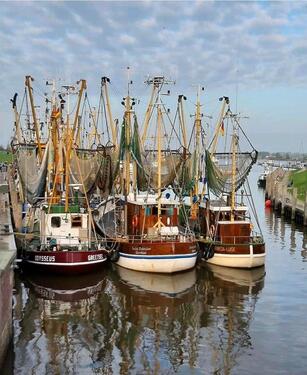 Foto - Ferienwohnung,Nordsee,Ostfriesland, Ewiges Meer
