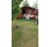 Kleingarten - 1.000,00 EUR Kaltmiete, ca.  0,00 m² in Leipzig (PLZ: 04318) Ost