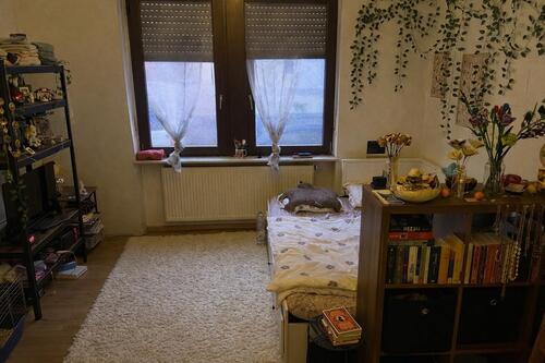 Foto - 1-Zimmer-Wohnung ab 01.06.2026 - 280,00&nbsp;EUR Kaltmiete, ca.&nbsp; 33,00&nbsp;m&sup2;