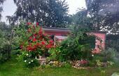 Foto - Bungalow in Stralsund zum Kaufen