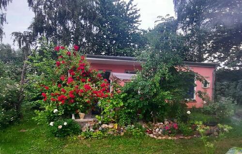 Foto - Bungalow in Stralsund zum Kaufen